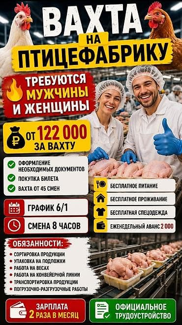 работы на ночь: Требуется Разнорабочий на производство, Оплата: Дважды в месяц, Без опыта — 1