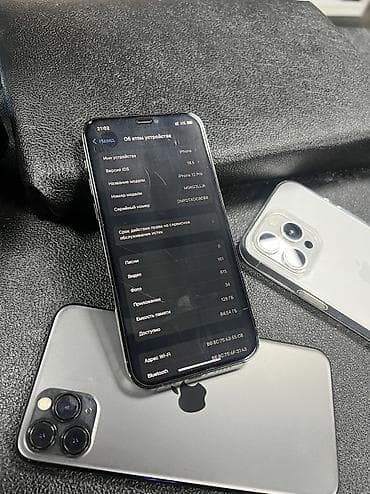 garmin 8: IPhone 12 Pro, Б/у, 128 ГБ, Графит, Защитное стекло, Чехол, 88 % — 4