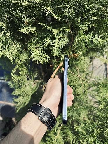 iphone 3g: IPhone 13 Pro Max, 256 ГБ, Sierra Blue, 83 % — 2