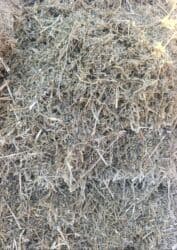 Рыбы: Продаётся сенаж отличного качество, сухой, мелко измельчённый. Цена 8 — 5