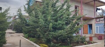 преподаватель компьютерной грамотности: Талап кылынат Үй кызматкери — 1