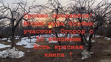 Жер тилкелери: 6 соток — 1