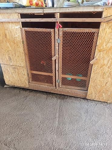 маскитная сетка ош: Деревянный вольер/клетка для продаю срочно животных и птицы из ОСБ - — 1