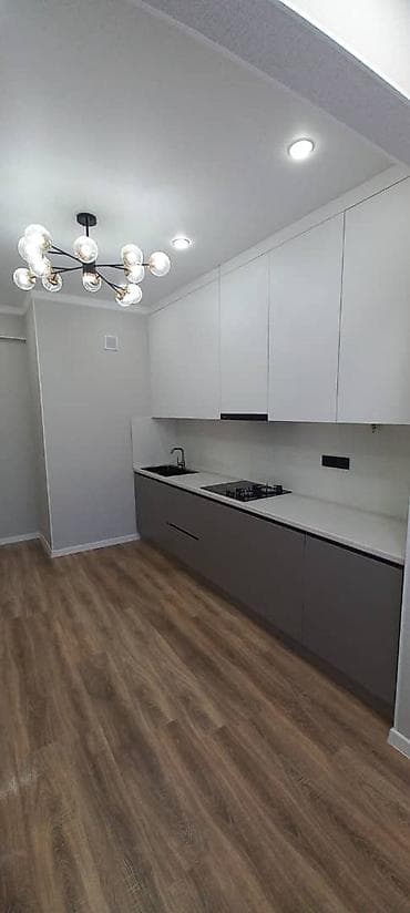 карл маркса: 1 комната, 45 м², Элитка, 10 этаж, Евроремонт — 3
