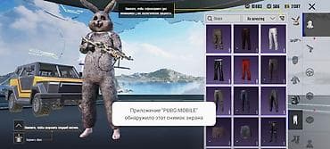 Игровой аккаунт PUBG MOBILE с эксклюзивными косметическими предметами