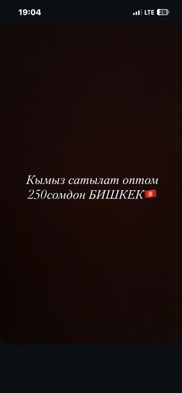 bubble tea: Кымыз, саамал, Оптом, Самовывоз, Платная доставка — 1