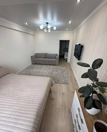 49: 1 комната, 49 м², Кок-Жар мкр 12 этаж, Косметический ремонт — 7
