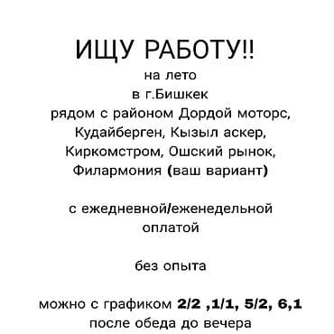 52: Услуга: соискатель ищет временную работу на лето в г. Бишкек — 1