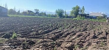 требуются танцовщицы: Кочот тиккени Кыз балдар керек . жатаканатамагы Бекер. ватсап — 1