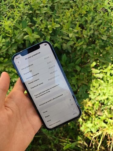 IPhone 12, Колдонулган, 64 ГБ, Көк, 100 % lalafo.kg да IPhone 12, Колдонулган, 64 ГБ, Көк, 100 %