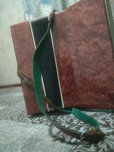 Аккордеоны: Аккордеон «Россий» (надпись на корпусе), красно-коричневый — 8