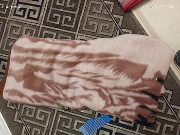 надувные кресла кровати: Саламатсызбы тошок жууркан эки кишилик Бир кишилик айырмасы жок — 4