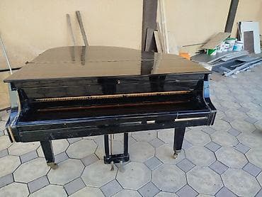 пианино иртыш: Рояль «Красный Октябрь», черный глянец. - Корпус рояля классической — 2