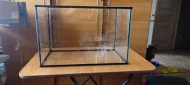 купить живую рыбу в бишкеке: Продам 2 аквариума, на 50 л и на 30 л — 2