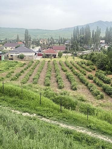 участок под кашар: 18 соток, Для строительства, Красная книга, Тех паспорт — 4
