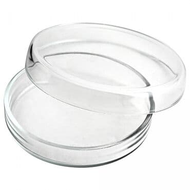 продажа медицинского оборудования бу: Чашка Петри стеклянная 100х20 мм, с крышками Чашка Петри стеклянная — 2