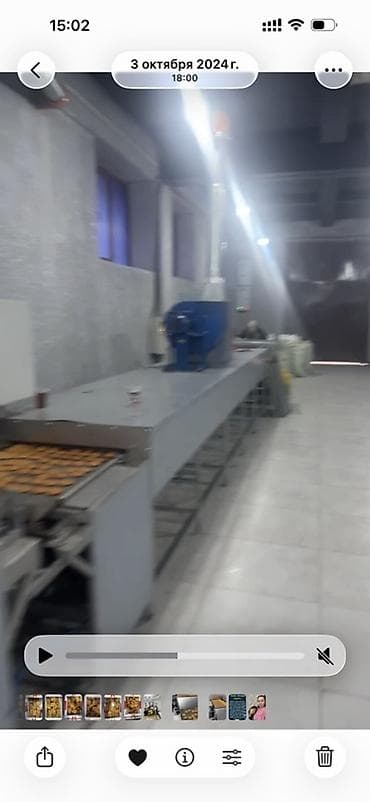 Туннельная печь для выпечки печенья/кондитерских изделий Описание: -