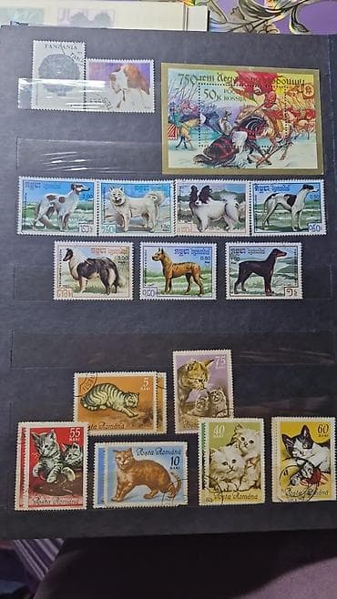 Көркөм өнөр жана коллекциялоо: Коллекция почтовых марок с орнитологической и микологической — 8