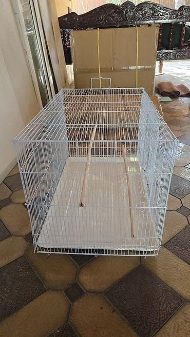 в связи с переездом отдам попугая жако в добрые руки: АКЦИЯ!! Волнистые попугаи ПО 900 (целая группа отборные) клетки новые — 5