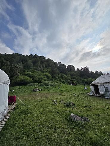 электро велик каракол: Боз үйлөрдү ижаралоо, Каркасы Жыгач, 100 баш, Казан, Идиш-аяк, Полу менен — 2