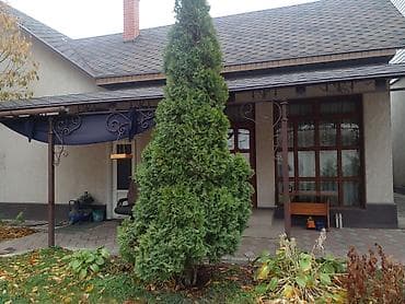 20 м², С мебелью полностью at lalafo.kg 20 м², С мебелью полностью