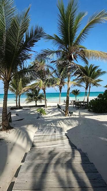 Шарапчылар: Ищу работу на Бариста или на посудамойку опыт работы имеется есть — 1