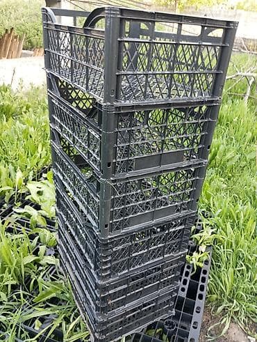 Ящики: Пластиковый Ящик, Б/у — 3