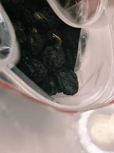 глоксиния сорта купить: Амурский бархат — 1