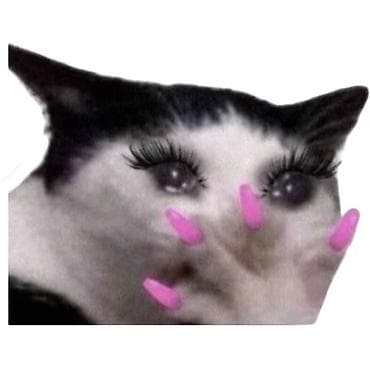 ресто бар: Ищу работу — 1