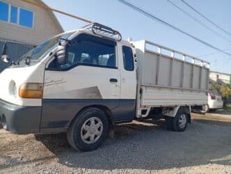 грызуны домашние: Вывоз мусора вывоз мусора вывоз мусора вывоз мусора вывоз мусора вывоз — 1