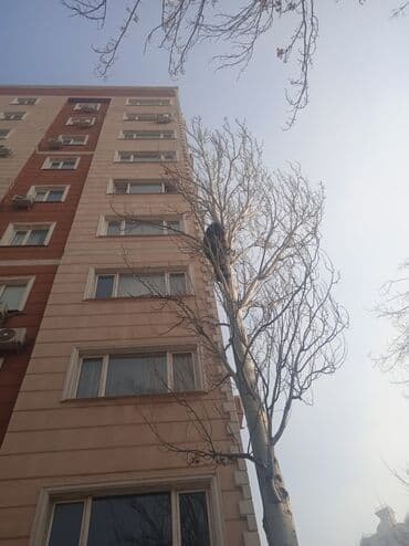 кресло барбер: Профессионально оперативно быстро спил любой сложности. Без выходных — 6