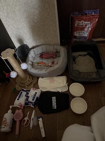 Животные: Набор для кота,кошки,котят сюда входит лежанка мягкая серенькая лоток — 4