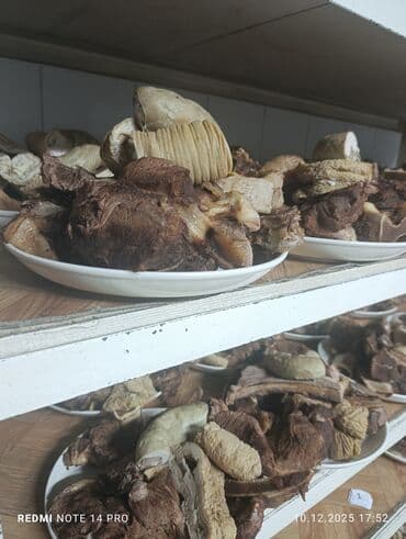 мясо для стейка бишкек: Конина : 10 кг — 8