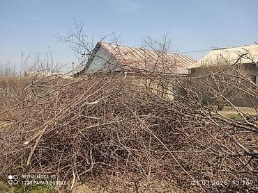 летний душ бак купить: Дрова — 2