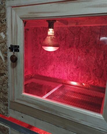 шары для хомяков: Брудер 2х этажный для всех видов птиц на заказ — 4