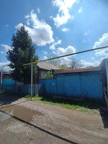 Жилой дом с двором и хозпостройками - Отдельностоящий дом с