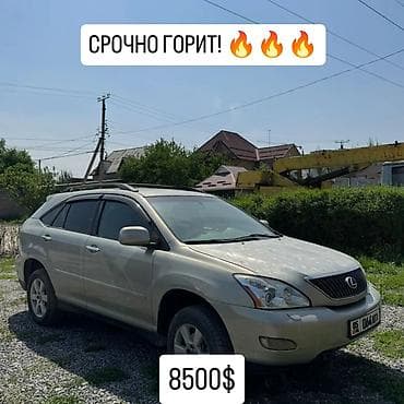 Lexus RX: 2004 г., 3.3 л, Автомат, Бензин, Кроссовер