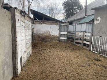 дом беловодс: Дом, 28 м², 3 комнаты, Собственник, Старый ремонт — 7