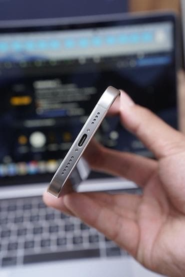 IPhone 16 Pro Max, Б/у, 1 ТБ, Серебристый, Защитное стекло, Чехол — 4