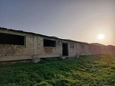 вспашка земли: Farm КРС, 50 соток, Действующий, Без оборудования, Электричество, Холодная вода — 10