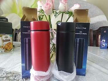 термос с датчиком температуры: Бутылки — 1