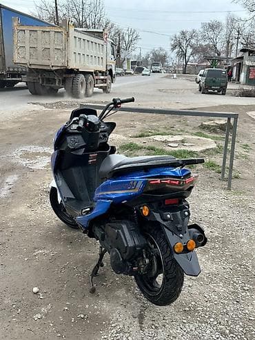 крыло для велика: Скутер классического городского формата, с ярким синим кузовом и белым — 4