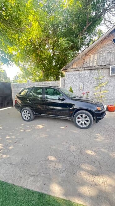BMW X5: 2004 г., 3 л, Автомат, Бензин, Внедорожник