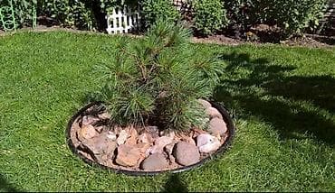 Ремонт под ключ: Дизайн | Дома, Кафе, рестораны — 5