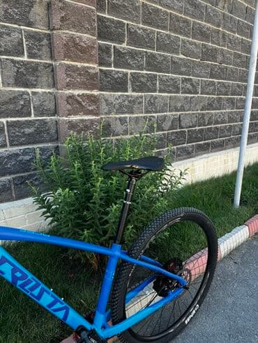 горный велосипед с широкими колесами: Горный велосипед, Tsunami, Алюминий, Новый — 6