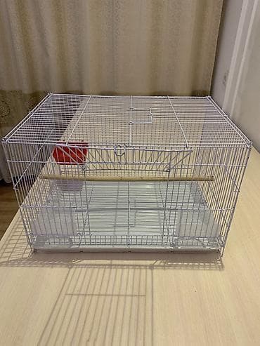 Үй жаныбарлары үчүн товарлар: Продается клетка для попугая — 3