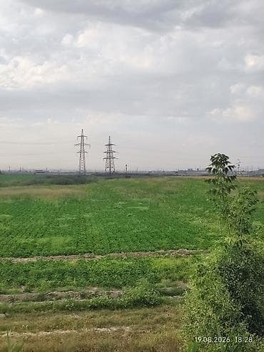 бек абад: 600 соток, Для сельского хозяйства — 4