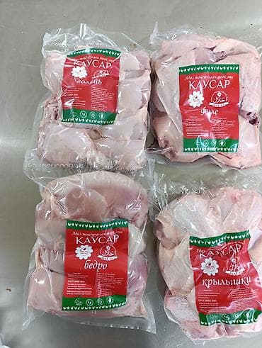 животные кошки: Продаю | Петух, Куры | КОББ 500, РОСС 308 | На забой — 2
