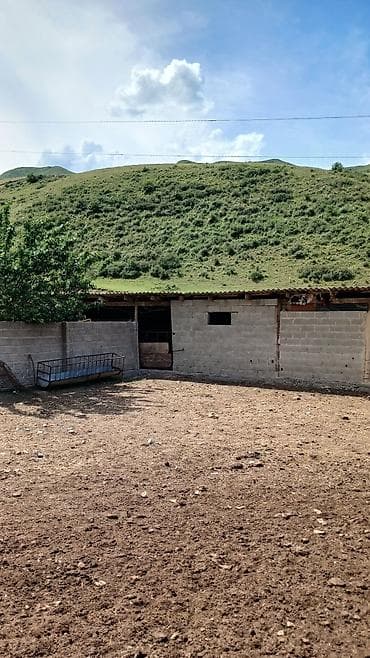 100 соток, Красная книга