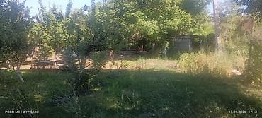 Кыймылсыз мүлк: 5 соток, Айыл чарба үчүн — 3